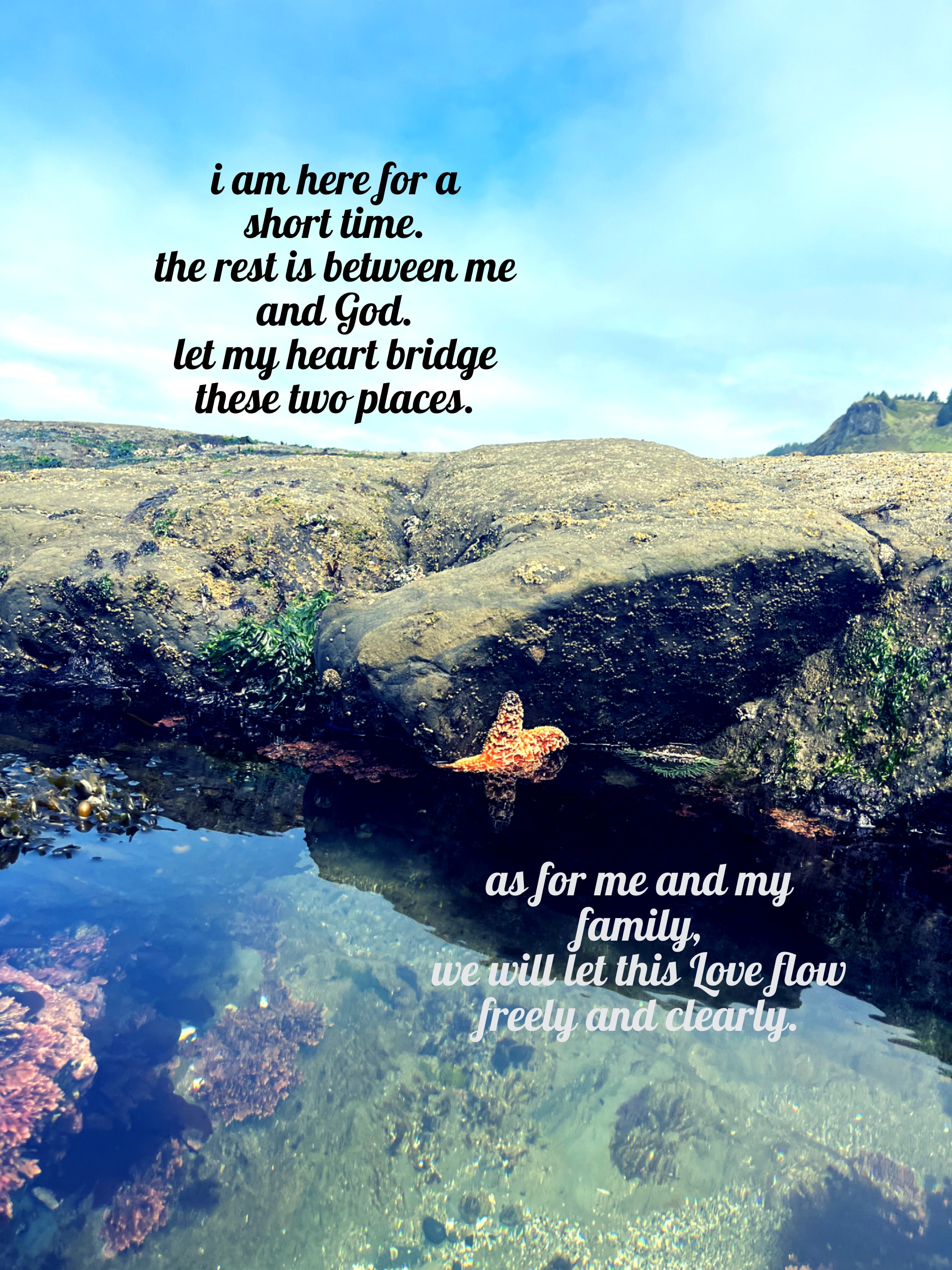 Photography print 7