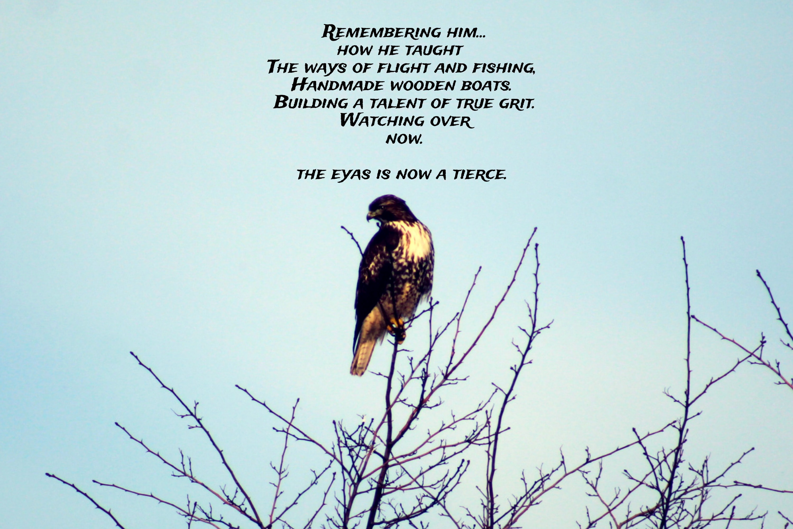 Photography print 8