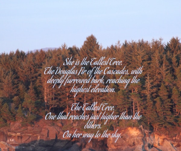 Photography print 9
